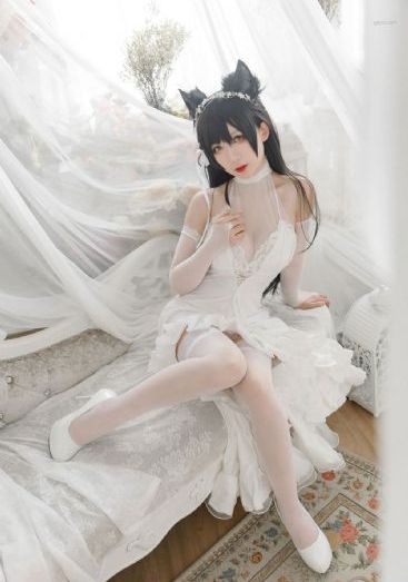 炼金士